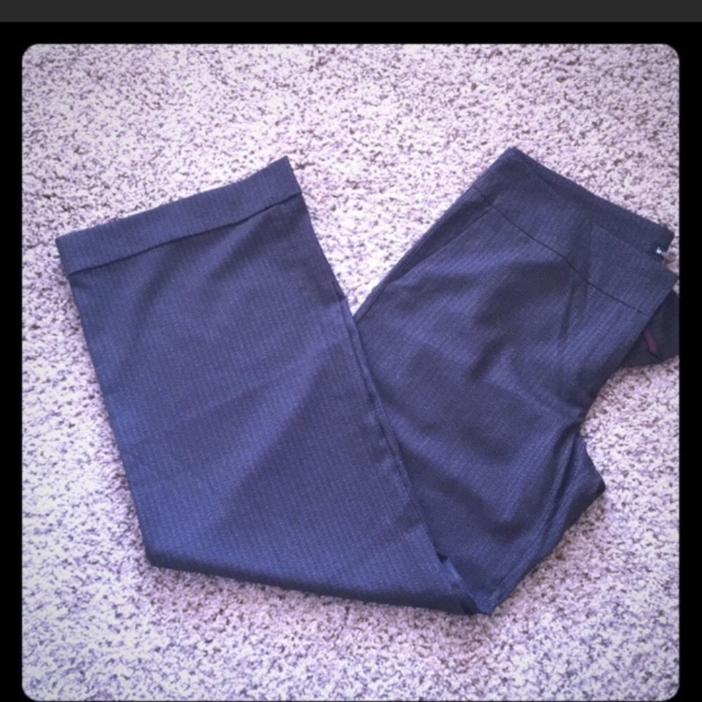 NWT Flared Dress Pants by Le Château Sz 15